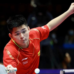 多个项目 多个项目