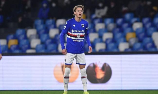 年轻球员树 年轻球员树