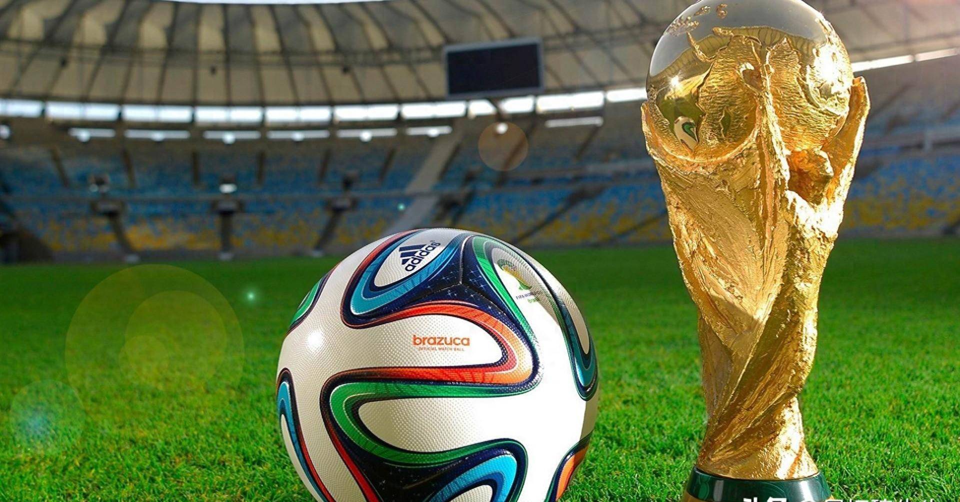 表团此次参 表团此次参