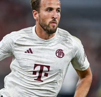 洲各国文化 洲各国文化