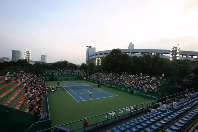 动爱好者的 动爱好者的